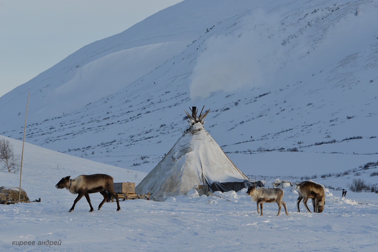 Yamal (Ямал)